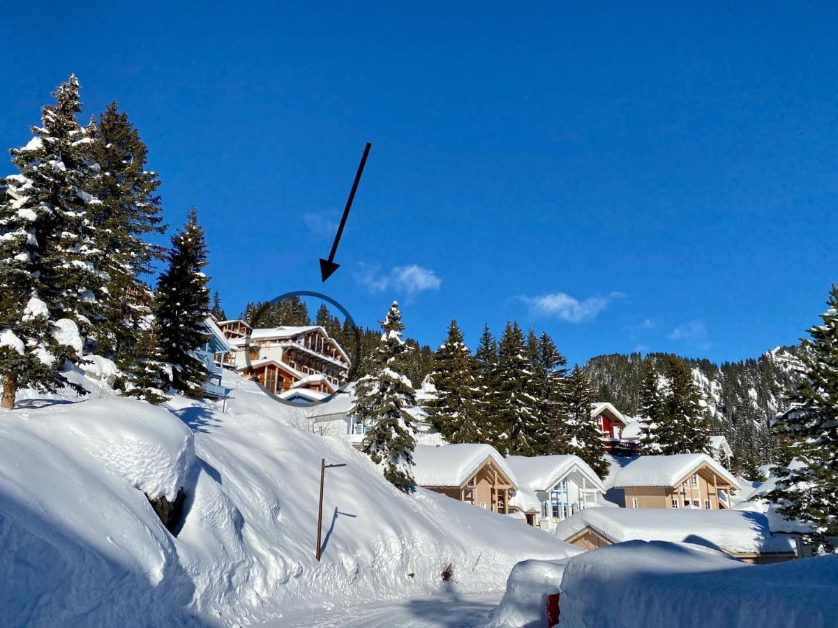 Vue Panoramique Sur Les Montagnes Plein Sud - T2 Skis Aux Pieds, Piscine & Spa Flaine Eksteriør billede